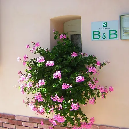 Bed and breakfast Da-di 3*